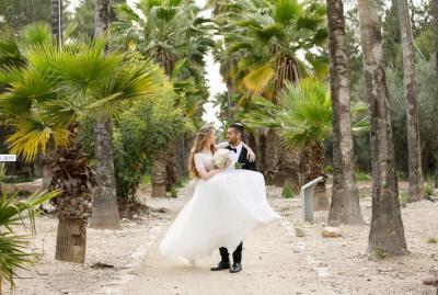 המלצה על טל סטילס